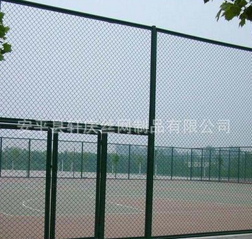 PVC 浸塑勾花網(wǎng)體育場圍網(wǎng)，廠家直銷籃球場圍網(wǎng)