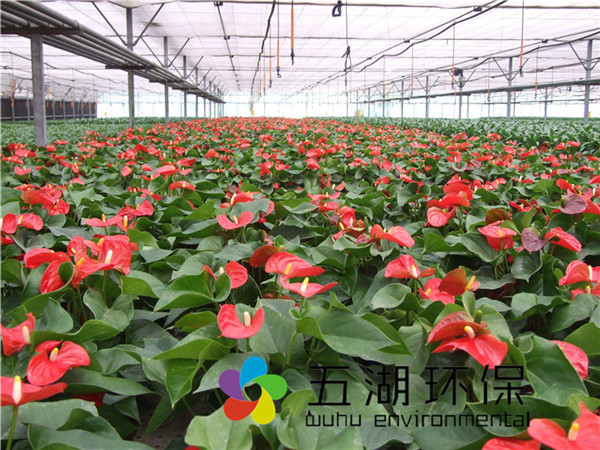 必須的好【玻璃溫室大棚施工—花卉溫室大棚價(jià)格—玻璃溫室大棚造價(jià)】—五湖環(huán)保