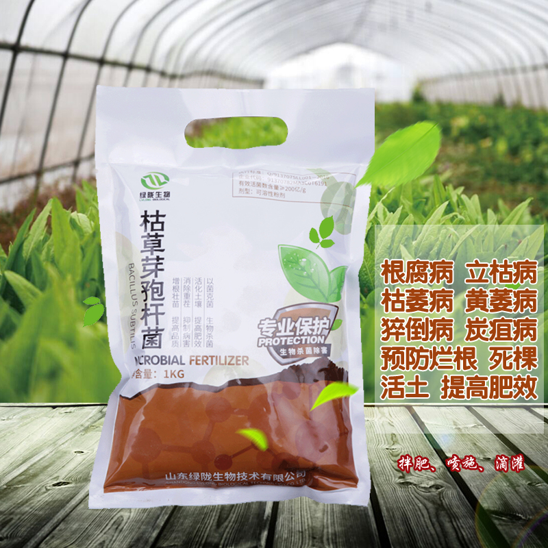 山東枯草芽孢桿菌價(jià)格@山東枯草芽孢桿菌報(bào)價(jià)@山東枯草芽孢桿菌廠家