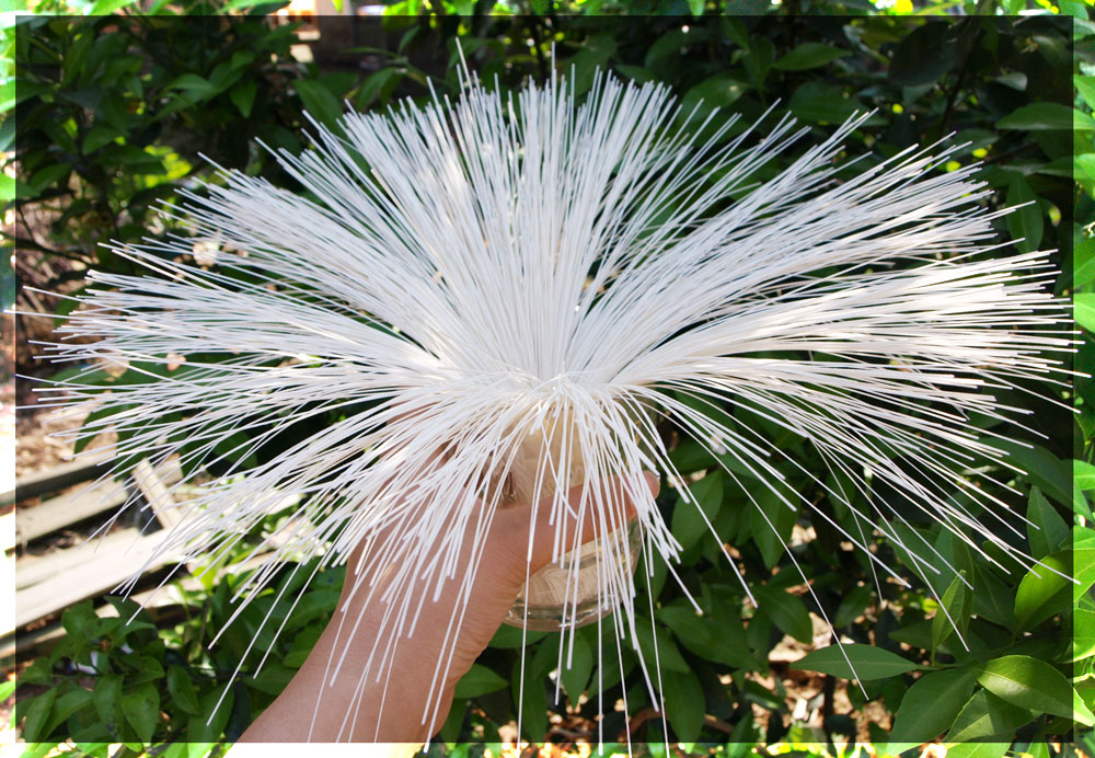 純手工掛面 純手工掛面禮盒