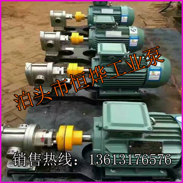 廠家供應(yīng)優(yōu)質(zhì)2CY不銹鋼齒輪泵，耐腐蝕齒輪泵，食品輸送泵