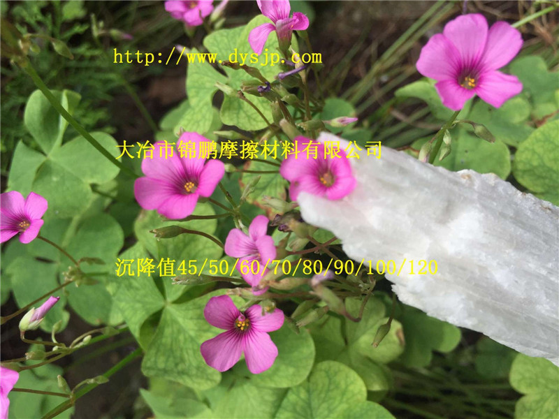硅酸鈣wollastonite200目2000目硅灰石粉
