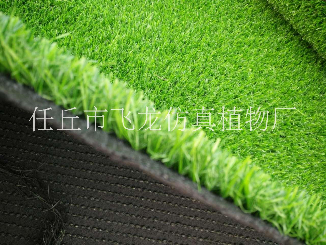 人造草坪 幼兒園地毯 幼兒園地毯草坪