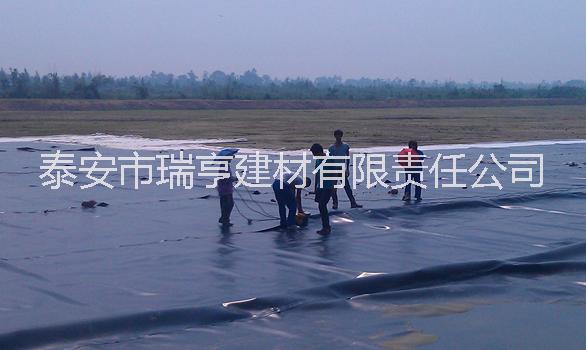 魚(yú)塘防滲膜廠家 魚(yú)塘防滲膜廠家直銷(xiāo) 魚(yú)塘防滲膜廠家供應(yīng) 魚(yú)塘防滲膜廠家銷(xiāo)售