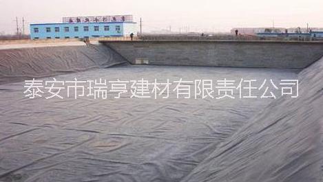 魚(yú)塘防滲膜廠家 魚(yú)塘防滲膜廠家直銷(xiāo) 魚(yú)塘防滲膜廠家供應(yīng) 魚(yú)塘防滲膜廠家銷(xiāo)售