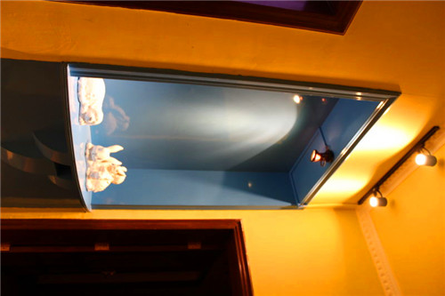 泉州燒烤好去處 周末聚會嗨起來