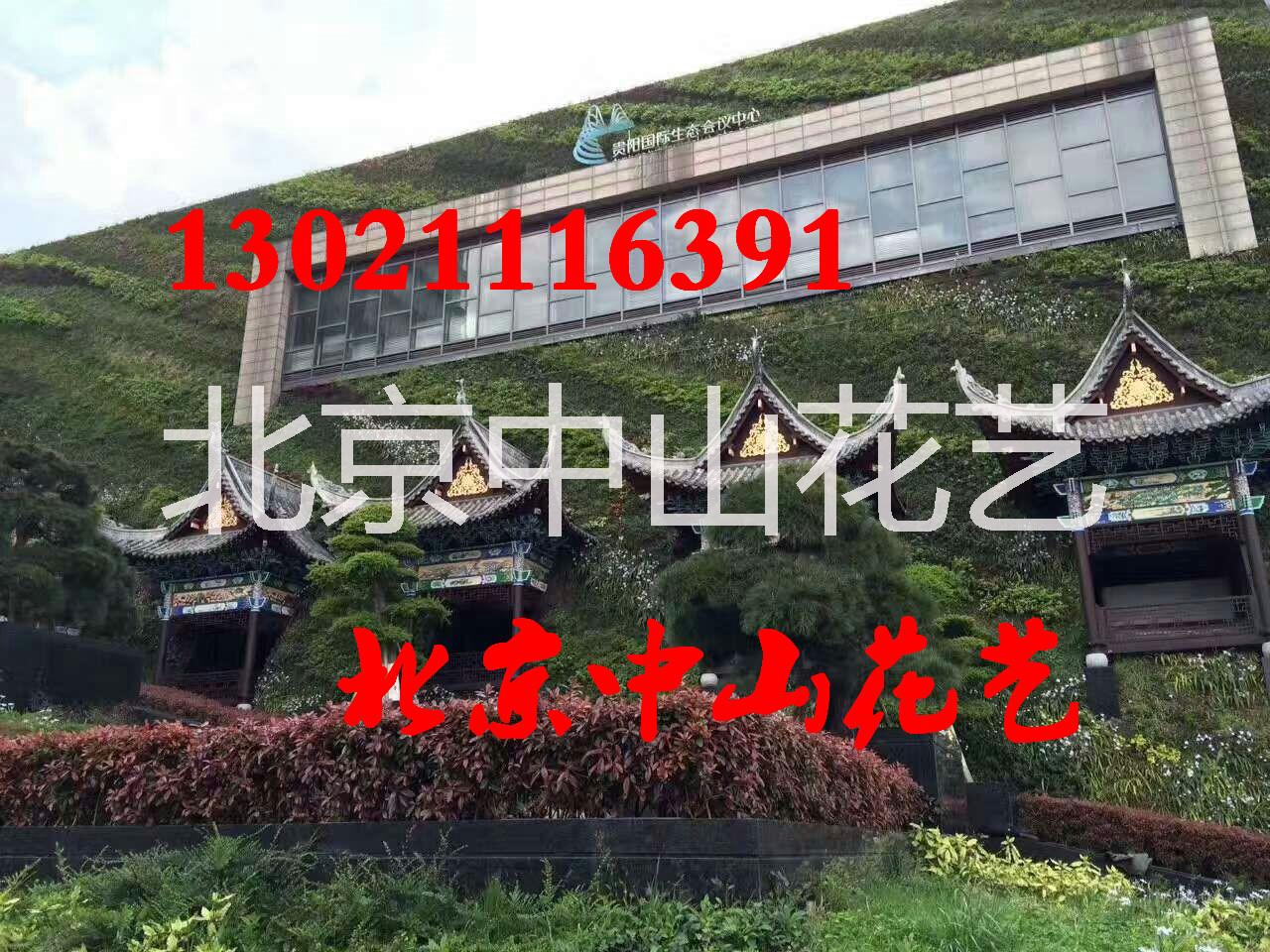 專業(yè)定制*仿真植物墻垂直墻面仿