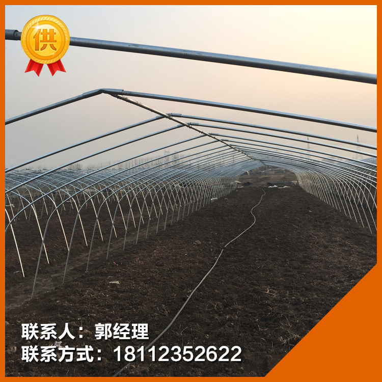 江西寬8米的養(yǎng)殖大棚骨架貴州育苗棚造價(jià)山西建蔬菜大棚