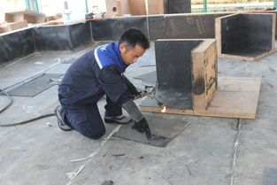供應(yīng)張家口屋面防水、張家口屋面防水電話、張家口屋面防水公司