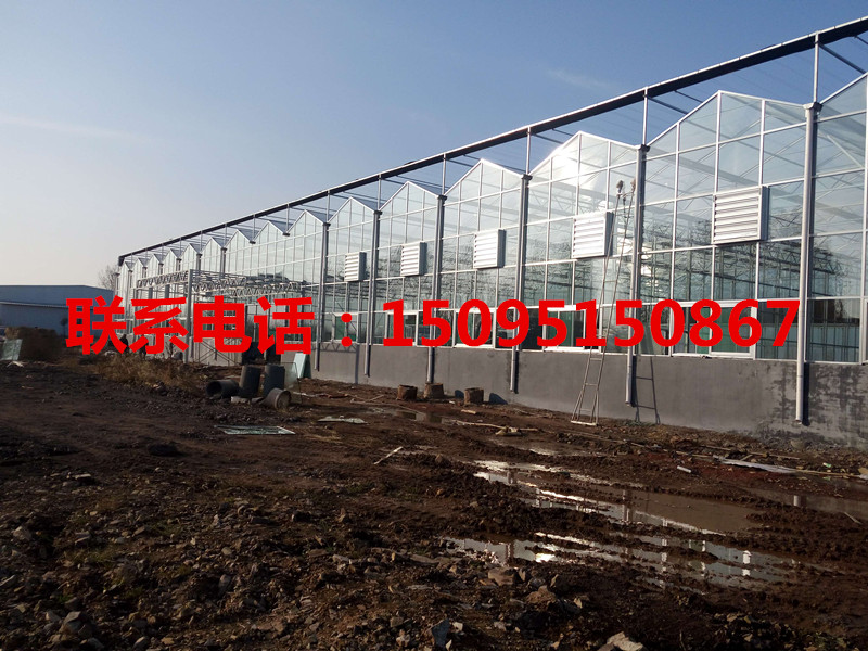 甘肅建造文洛式玻璃溫室最*的廠家