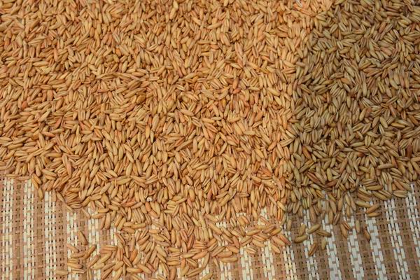 供應(yīng)熟燕麥廠價批發(fā) 3.9元，燕麥供應(yīng)商，現(xiàn)磨五谷豆?jié){燕麥批發(fā)