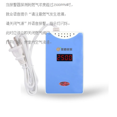 ZC-RQ916燃氣泄漏探測器_煤氣泄漏探測器_天然氣泄漏探測器