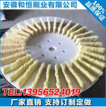 專業(yè)提供優(yōu)質(zhì)拋光圓盤刷 清洗圓盤刷 劍麻圓盤刷 磨料絲圓盤毛刷