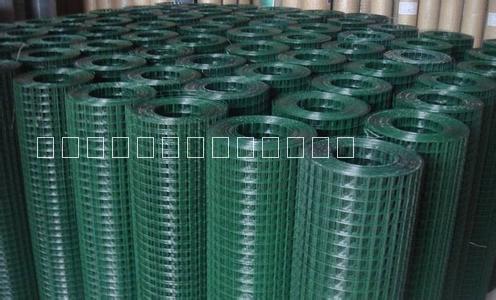 荷蘭網(wǎng)   園林防護(hù)網(wǎng) 荷蘭網(wǎng) 園林防護(hù)網(wǎng)