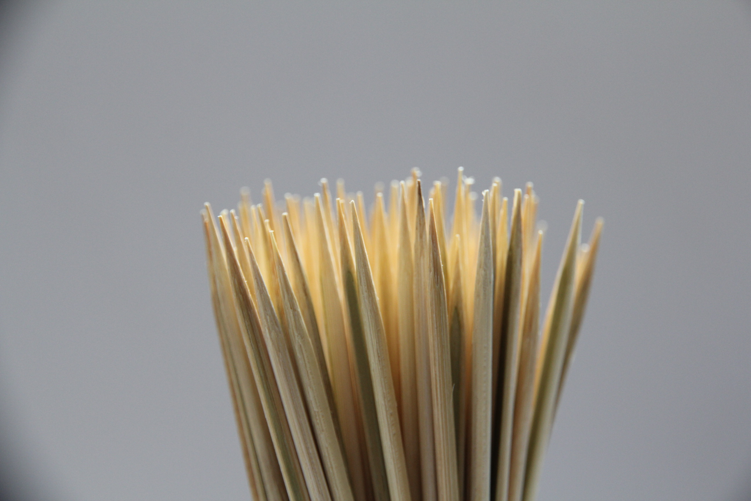 竹簽湖南燒烤竹簽  優(yōu)質(zhì)竹簽批發(fā)供應(yīng)肉串簽  蔬菜簽供應(yīng)