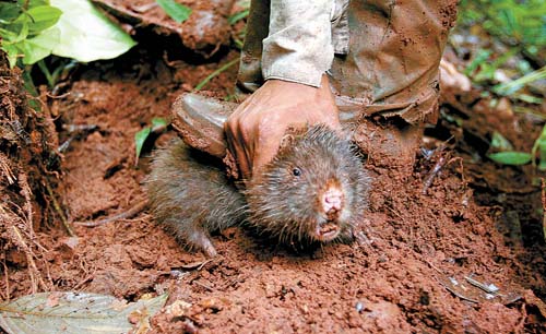 廣東*批發(fā) 廣東*