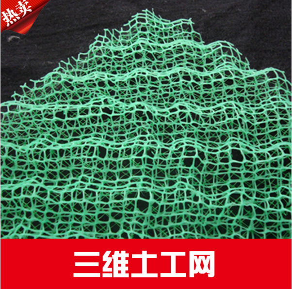 西安三維土工網(wǎng)供應(yīng)商 三維土工網(wǎng) 三維土工網(wǎng)廠家直銷 三維土工網(wǎng)