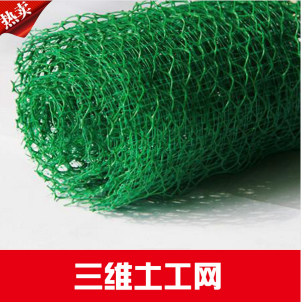 西安三維土工網(wǎng)供應(yīng)商 三維土工網(wǎng) 三維土工網(wǎng)廠家直銷 三維土工網(wǎng)