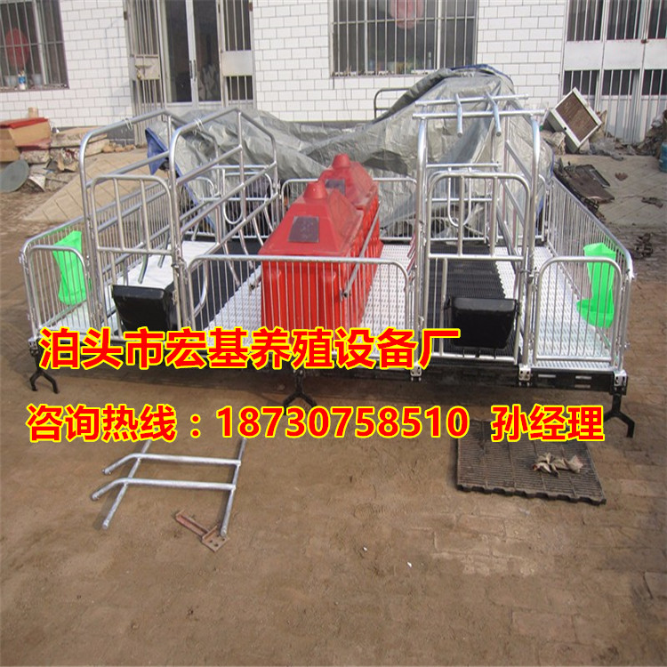 優(yōu)質(zhì)的母豬鑄鐵產(chǎn)床的尺寸有哪些 普通產(chǎn)床的價(jià)格有哪些 優(yōu)質(zhì)的雙體豬產(chǎn)床報(bào)價(jià)泊頭宏基