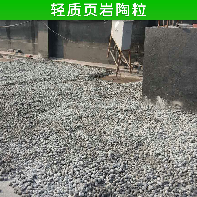 輕質(zhì)頁巖陶粒批發(fā) 生物粉煤灰陶粒 粘土陶粒 污水處理用陶粒濾料 廠家直銷