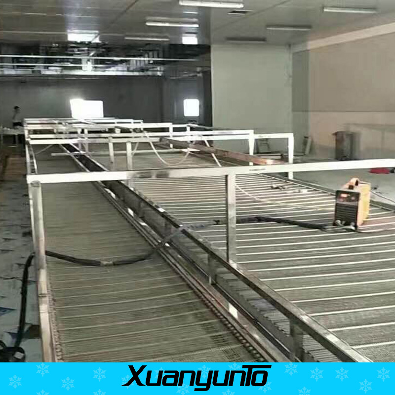 廠家直銷速凍隧道 隧道式湯圓/餃子速凍機(jī) 平滑速凍隧道