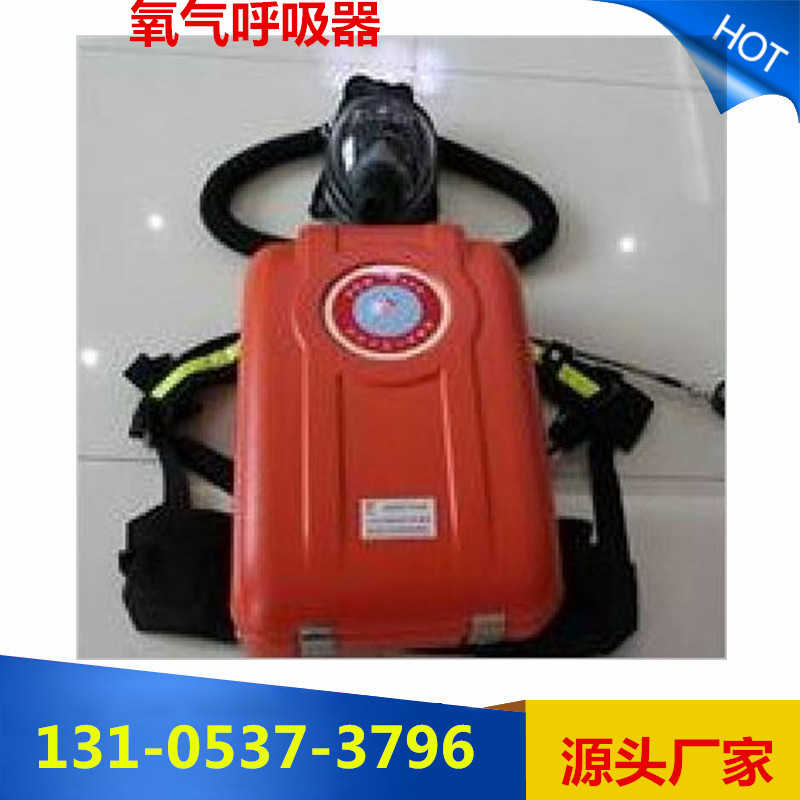 陜西艙式氧氣呼吸器 HYZ4  *直銷