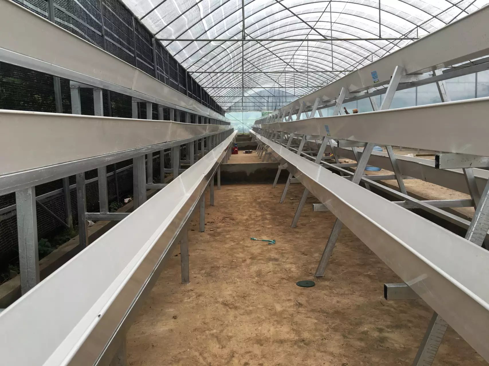 草莓種植季節(jié)槽 草莓種植季節(jié)槽