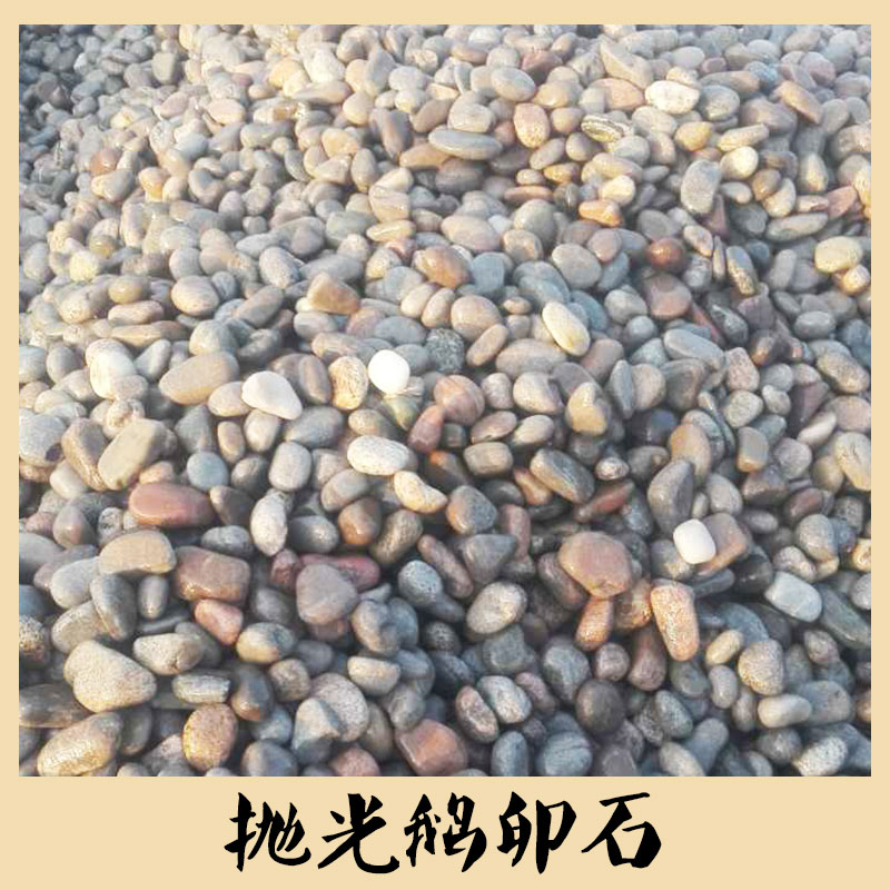 供應(yīng)卵石 拋光鵝卵石 鋪路用鵝卵石 景觀園林造景 品質(zhì)保障