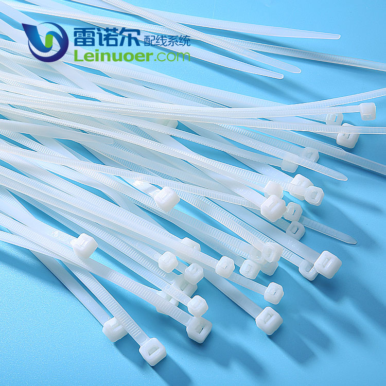 LNE-ZD 浙江雷諾爾自鎖尼龍扎帶 扎帶