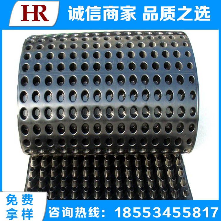 廠家生產(chǎn) 塑料排水板 高強(qiáng)度地下車庫排水板 可定制 量大實(shí)惠