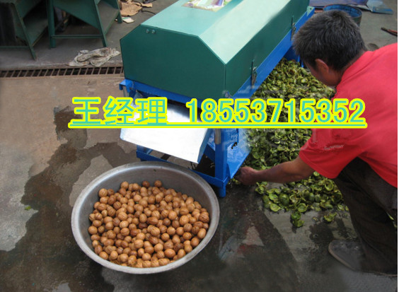 核桃脫皮機 山東濟寧廠家直銷