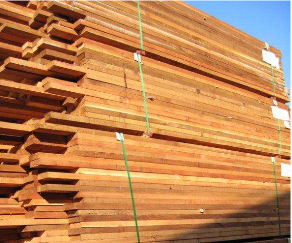 上海紅雪松供應商-上海紅雪松生產(chǎn)廠家-上海紅雪松供應商報價