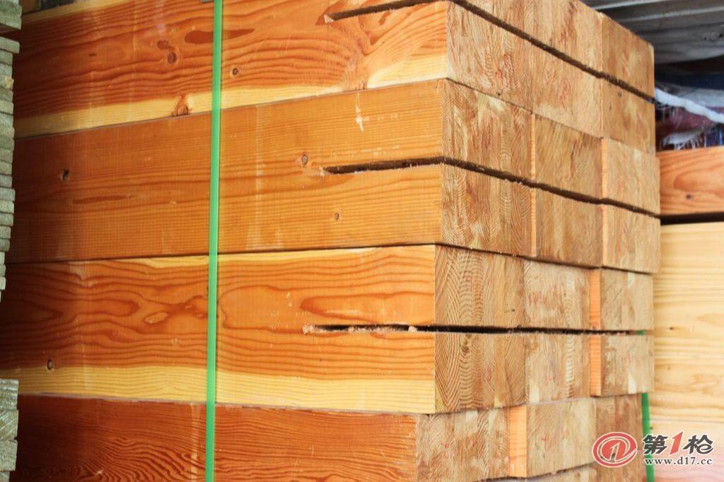 上海紅雪松供應商-上海紅雪松生產(chǎn)廠家-上海紅雪松供應商報價