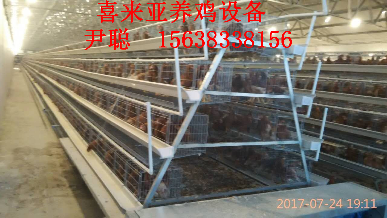 供應(yīng)湖北潛江階梯A型蛋雞籠*傳送帶清糞機履帶清糞機，絕不跑偏