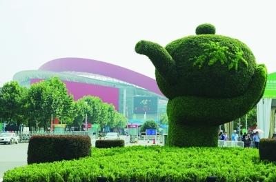 立體花壇制作 城市綠雕 五色草造型 優(yōu)質(zhì)五色草種植基地