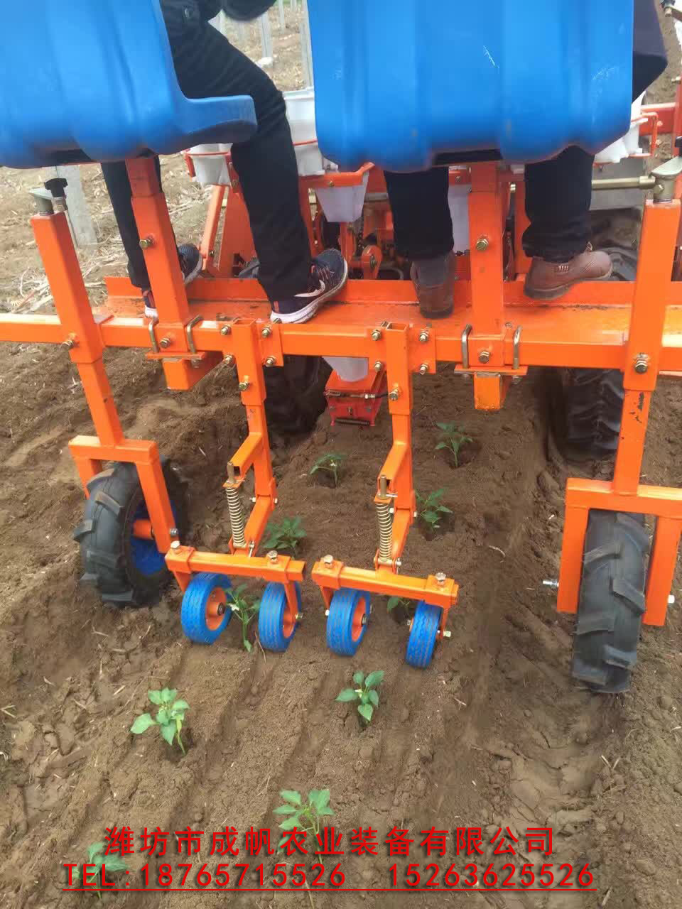 西紅柿 成帆2ZBX-2型辣椒移栽機(jī) 甘藍(lán)