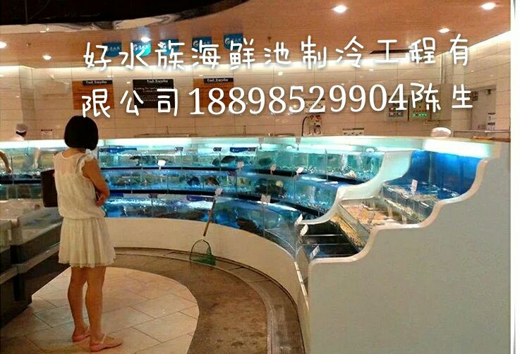 海珠濱江路土建海鮮池定做 魚池