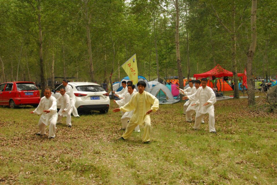 北極豐臺任躍輝太極拳培訓(xùn)   日月天都國術(shù)院