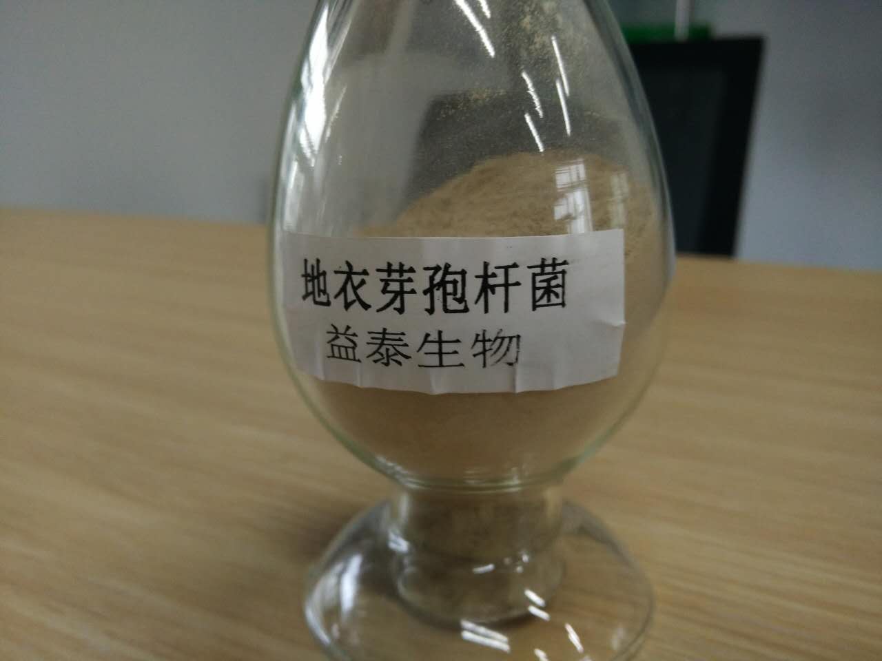 飼料廠用微生物菌劑地衣芽孢桿菌