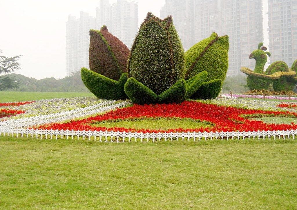 立體花壇制作 城市綠雕 五色草造型 優(yōu)質(zhì)五色草種植基地