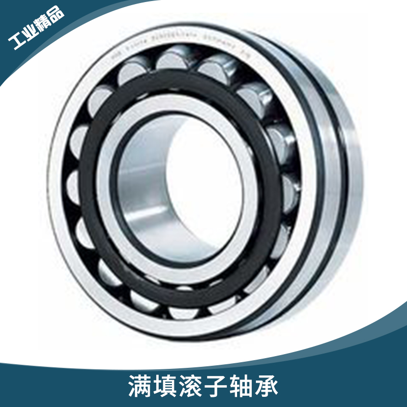 德國(guó)TDN系列進(jìn)口軸承 滿填滾子軸承 多排列滿裝圓柱滾子軸承