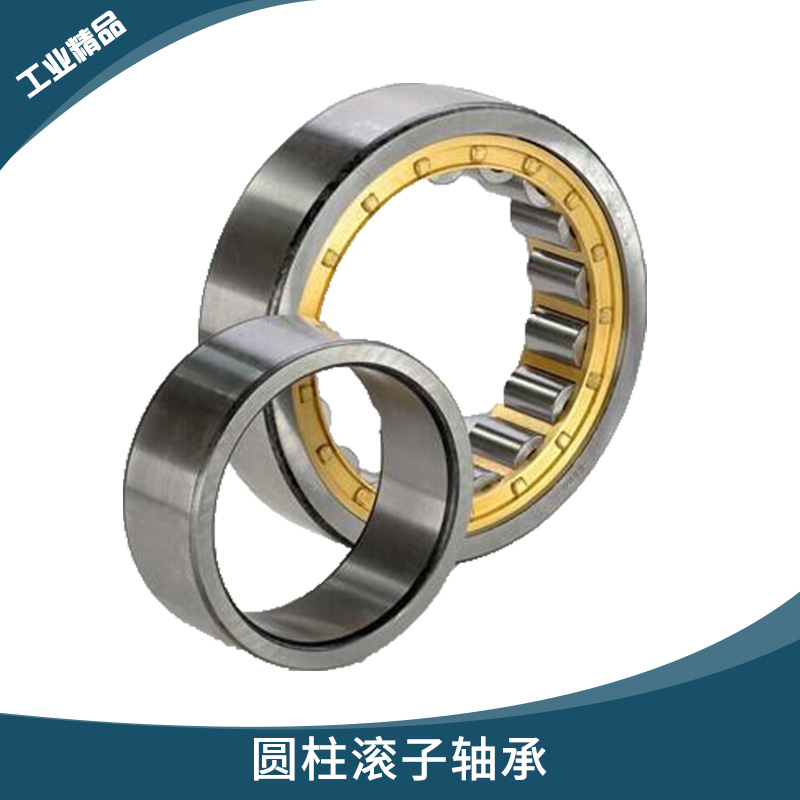 德國(guó)TDN系列 圓柱滾子軸承 電動(dòng)機(jī)/內(nèi)燃機(jī)高徑向負(fù)荷線接觸軸承