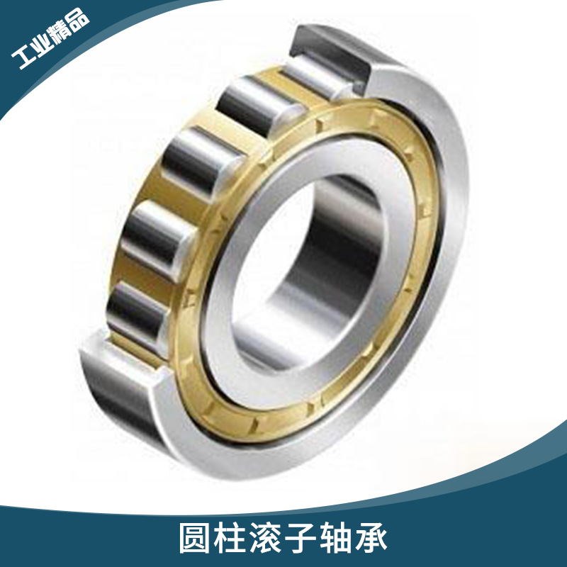 德國(guó)TDN系列 圓柱滾子軸承 電動(dòng)機(jī)/內(nèi)燃機(jī)高徑向負(fù)荷線接觸軸承