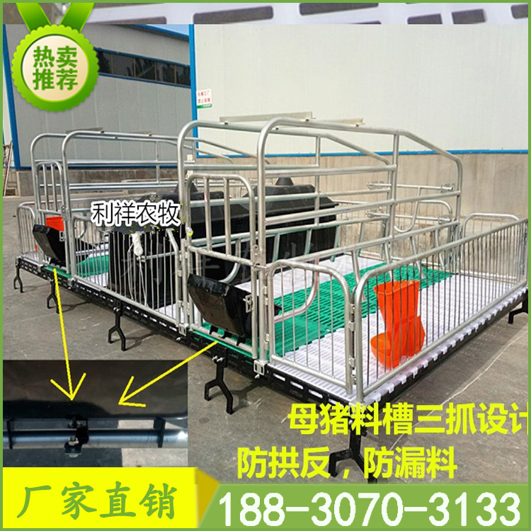 母豬產床廠家供應養(yǎng)豬設備 豬舍安裝復合板母豬產床尺寸 利祥專業(yè)生產