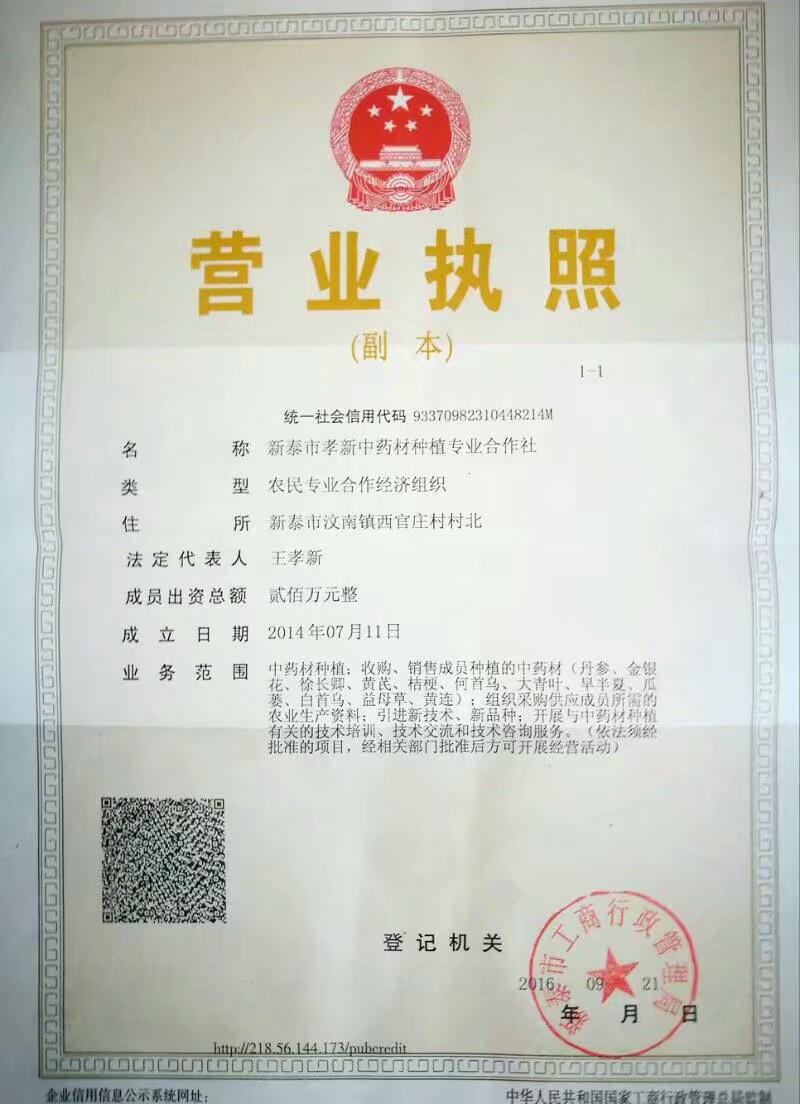 孝新中藥材合作社 主產(chǎn)徐長卿及丹參常年有大貨。
