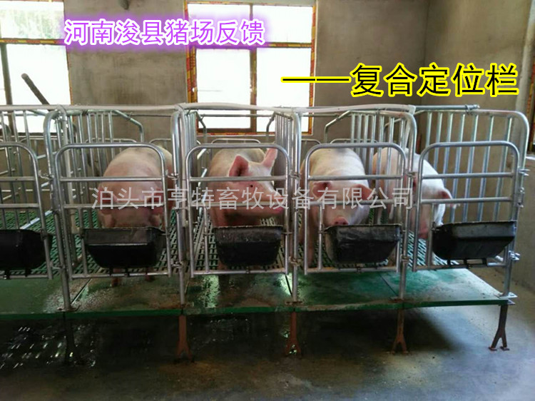 畜牧業(yè)母豬定位欄帶鋼板食槽 亨特定做優(yōu)質(zhì)限位欄尺寸