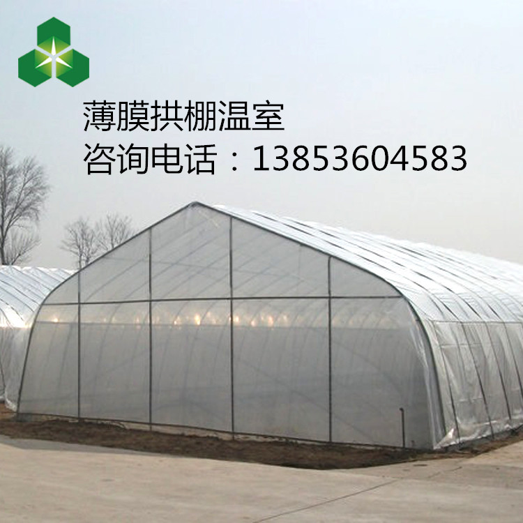 拱棚溫室 單棟拱棚薄膜溫室大棚 太原單棟拱棚溫室大棚效果怎么樣