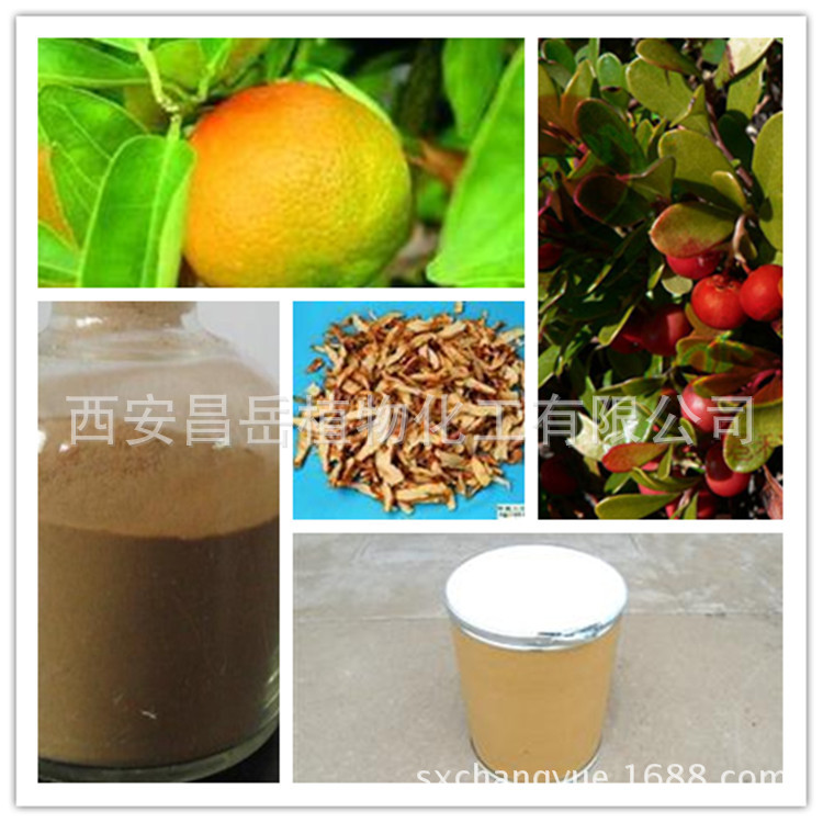 現(xiàn)貨供應(yīng)熊果葉提取物 西安昌岳現(xiàn)貨供應(yīng)優(yōu)質(zhì)熊果葉提取物