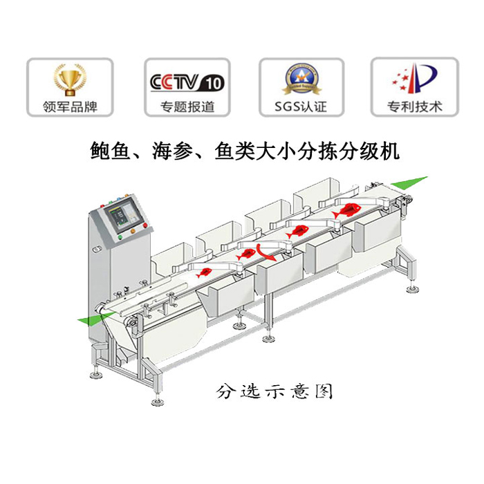 海鮮重量分選機(jī)重量檢測(cè)機(jī)