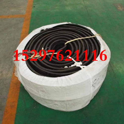 內蒙古橡膠止水帶標準400*8HGJI 烏海橡膠止水帶標準HGJI*